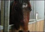 Quel nom porte cette marque et/ou liste ?