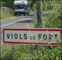 Quel sens ne convient pas au verbe "violenter" ?
