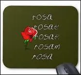 Quelle proposition de cas latin correspond à la fonction grammaticale sujet du français ?