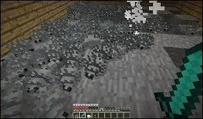 Quand on casse un bloc de pierre, comment peut-on voir que c'est un bloc de Silver fisch (poisson d'argent) ?