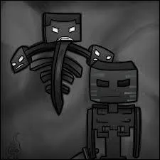 Que se passe-t-il quand le Wither spawn dans le monde terrestre ?