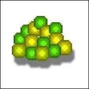 Combien de boules d'expérience donne le Wither quand il meurt ?