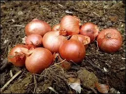 Ne confondons surtout pas, ici il s'agit bien d'(e)