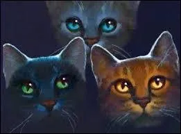 Qui sont les parents de Petit Geai, Petit Lion et Petit Houx ?