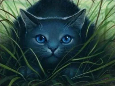 Qui est Lune Bleue ?