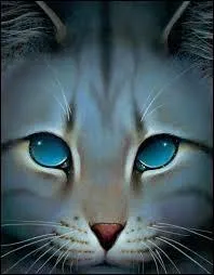 Quelle est la prophétie qui concerne Étoile Bleue ?