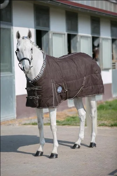 Comment appelle-t-on la couverture portée par ce cheval ?