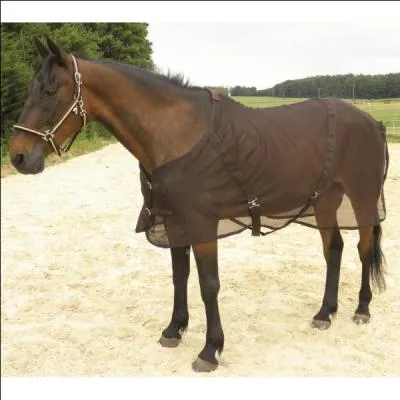 Comment appelle-t-on la couverture portée par ce cheval ?