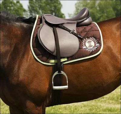 Comment appelle-t-on la selle que ce cheval porte ?