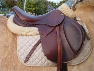 Comment appelle-t-on la selle que ce cheval porte ?