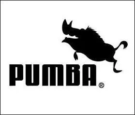 Avec quel dessin animé cette marque de vêtements de sport est-elle mélangée ?