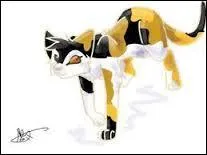 Poil de Châtaigne tient son pelage de sa tante, Petite Feuille. Vrai ou faux ?