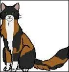 Pavot Gelé tient son pelage de sa mère, Poil de Châtaigne. Vrai ou faux ?