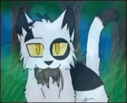 Nuage Agile tient son pelage de son père, vrai ou faux ?