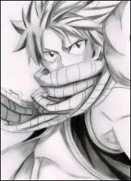 De quelle mati&egrave;re est faite l'&eacute;charpe de Natsu ?