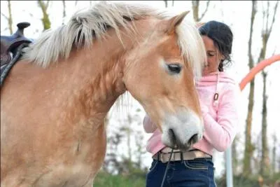 Pour mettre le filet :