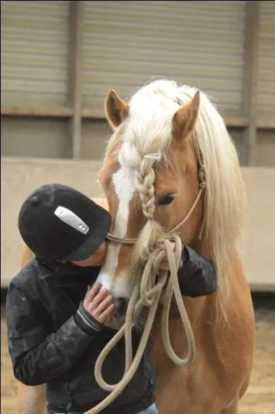 Qu'appelle-t-on les "aciers" et les "cuirs" sur le filet ? (plusieurs réponses à cocher)