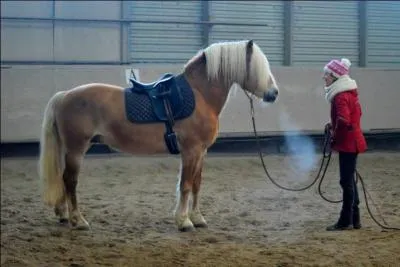 Le pommeau de la selle peut-il appuyer sur le garrot du cheval ?