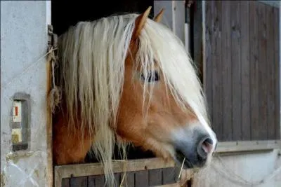 Quand doit-on nettoyer les cuirs ?