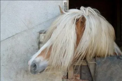 Quand doit-on graisser les cuirs ?