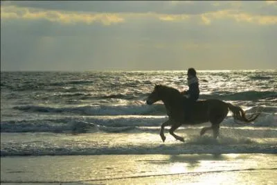 Quelle est la définition de l'accord des aides naturelles ?