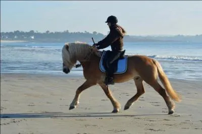 Pour conserver sans efforts la position assise, on doit :