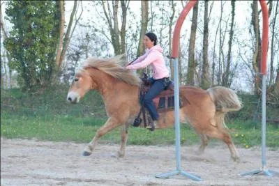 Lorsque l'on demande un changement d'allure, on doit :