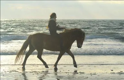 Quelle est la définition de l'assiette ?