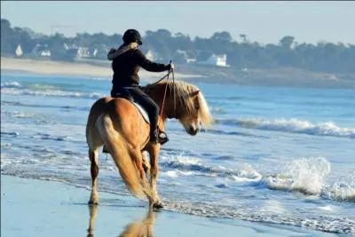 Pour un changement de direction, la notion de volonté intervient quand : 
(plusieurs réponses à cocher)