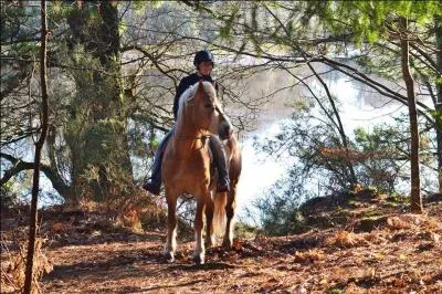Lorsqu'on est en promenade, on : 
(plusieurs réponses à cocher)