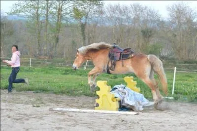 Pour aborder le premier croisillon au trot, on doit :