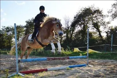 La position en équilibre sur les étriers s'obtient en :