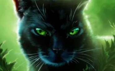 Quiz Erin hunter