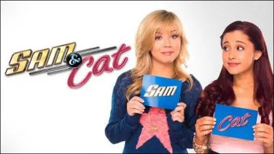 A quelle date la série a-t-elle été diffusée en Amérique ?