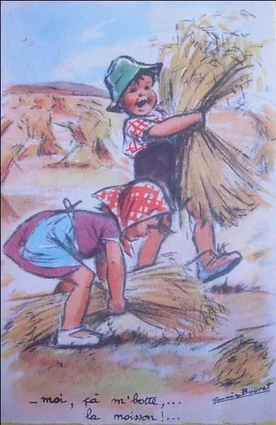 Quel est cet insecte, ennemi du blé ?