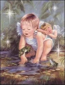 Qu'allez-vous découvrir dans l'étang ?