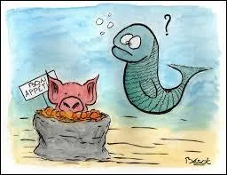 Qu'est-ce qu'un verat ?