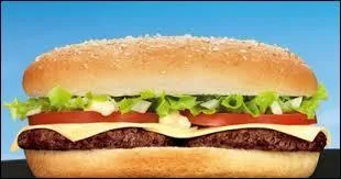 A quelle enseigne appartient le Long Beef ?