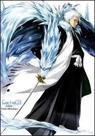 À qui appartient ce zanpakuto ? (c'est mon garçon préféré)