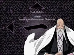 À qui est ce zanpakuto ?