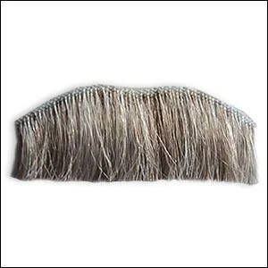 Avec lui la théorie devint 'relative' et sa moustache célèbre.