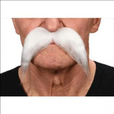 De quelle couleur est la moustache d'Astérix ? (la moustache de la photo n'est pas de la couleur de celle d'Astérix, elle est juste là pour montrer comment les Gaulois portaient la moustache en général)