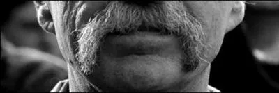 En voici une écolo, vous trouverez sans mal à qui elle appartient.