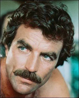 Comment s'appelle le type de moustache qu'arbore entre autre Tom Selleck ?