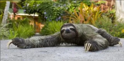 Trouvez le péché grâce à la photo !