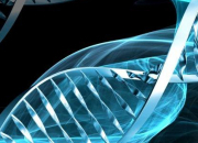 Quiz La structure de l'ADN
