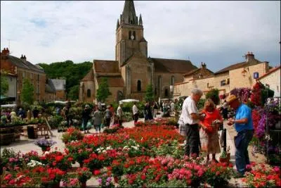 Le marché aux fleurs de Saint-Benoît a lieu ce week-end. Qu'y trouve-t-on ?