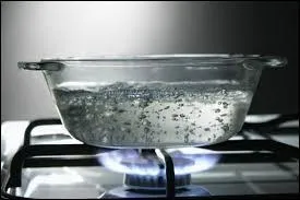 Si une personne n'est pas très maligne, c'est qu'elle n'a pas...