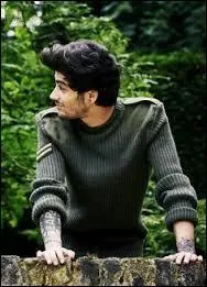 Avec qui Zayn Malik s'est-il fiancé en 2013 ?