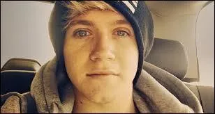 Avec qui Niall Horan s'affiche-t-il en couple en 2015 ?